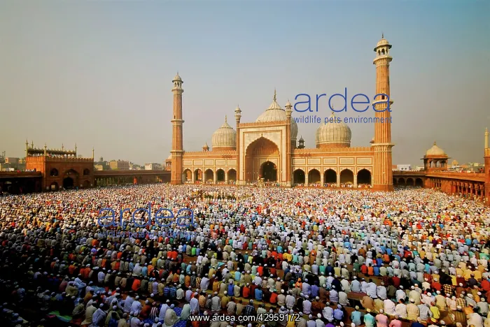  : Jama Masjid Mosque