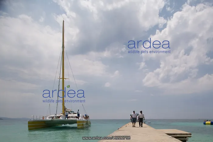 : Jamaica, Montego Bay, Tourist catamaran : Jamaica, Montego Bay, Tourist catamaran