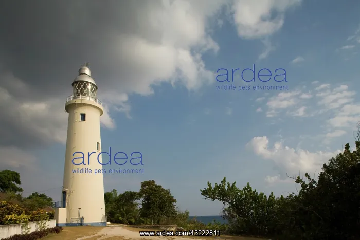 : Jamaica, Negril, Afternoon sun lights lighthouse : Jamaica, Negril, Afternoon sun lights lighthouse