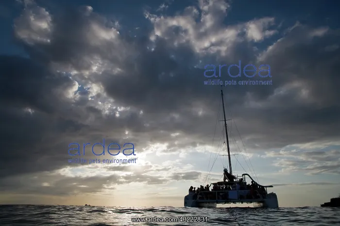 : Jamaica, Negril, Low Angle view of tourist : Jamaica, Negril, Low Angle view of tourist