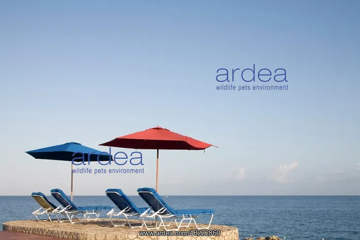: Jamaica, Negril, Rockhouse Hotel along Caribbean : Jamaica, Negril, Rockhouse Hotel along Caribbean