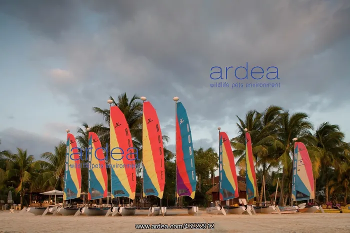 : Jamaica, Negril, Setting sun lights row : Jamaica, Negril, Setting sun lights row