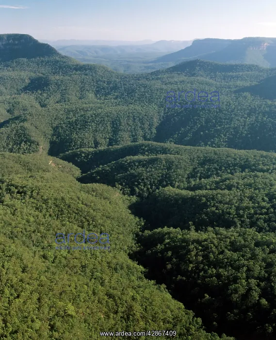 : Jamison Valley Blue Mountains National Park : Jamison Valley Blue Mountains National Park