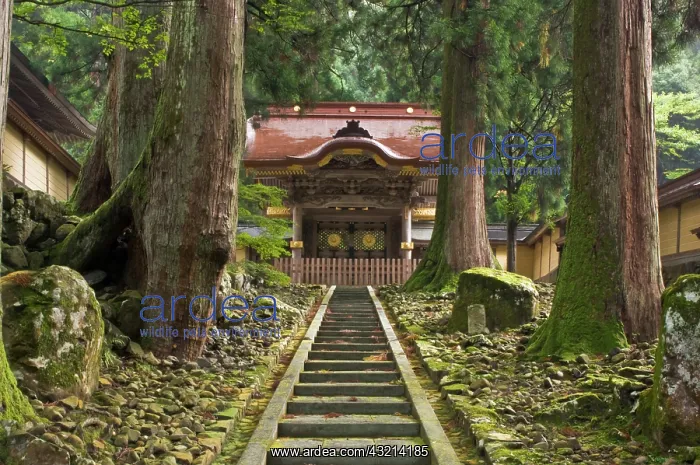 : Japan, Fukui, Eiheiji Temple : Japan, Fukui, Eiheiji Temple