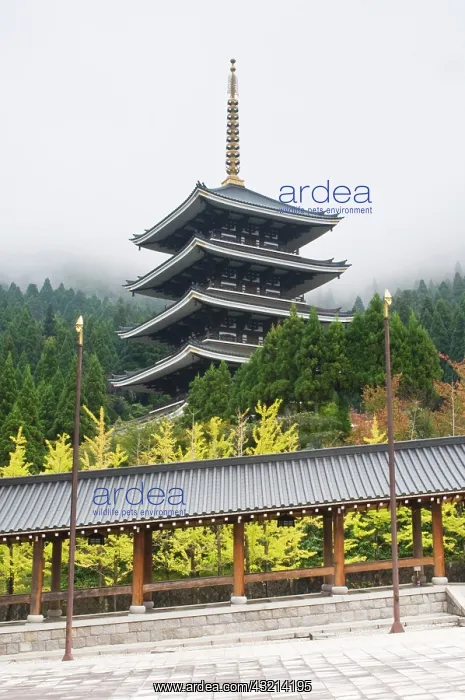 : Japan, Fukui, Seidaiji Temple, Pagoda : Japan, Fukui, Seidaiji Temple, Pagoda