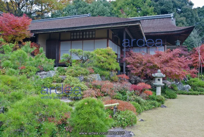 : Japan, Kyoto, Arashiyama, Sagano, Okochi : Japan, Kyoto, Arashiyama, Sagano, Okochi