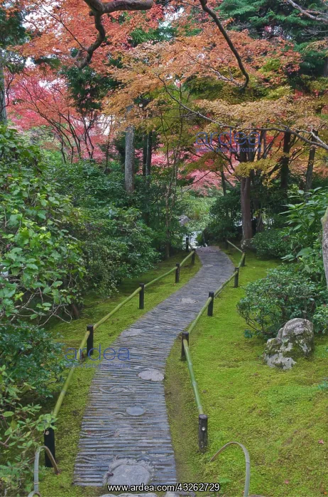 : Japan, Kyoto, Arashiyama, Sagano, Okochi : Japan, Kyoto, Arashiyama, Sagano, Okochi