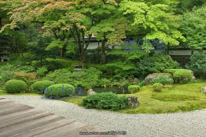 : Japan, Kyoto, Sennyuji Temple Garden : Japan, Kyoto, Sennyuji Temple Garden
