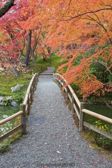 : Japan, Kyoto, Sento Imperial Palace Garden : Japan, Kyoto, Sento Imperial Palace Garden