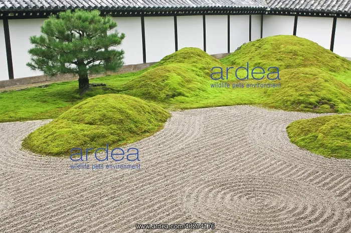: Japan, Kyoto, Tofukuji Temple, Landscape : Japan, Kyoto, Tofukuji Temple, Landscape