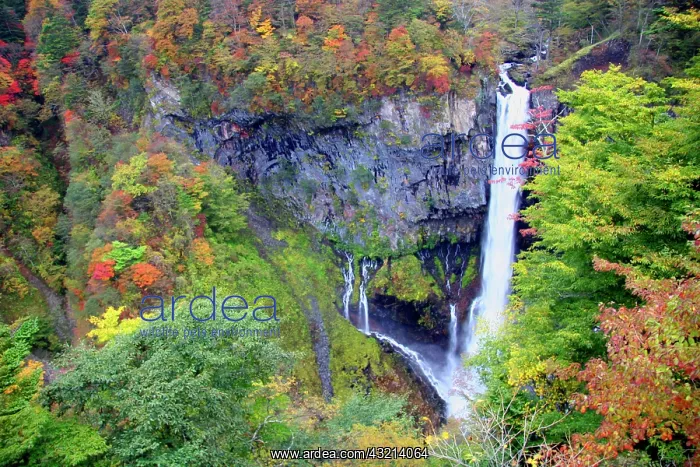 : Japan, Nikko. Kegon waterfall of Nikko : Japan, Nikko. Kegon waterfall of Nikko