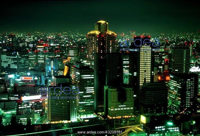 : Japan, Osaka. Aerial view of nighttime downtown : Japan, Osaka. Aerial view of nighttime downtown