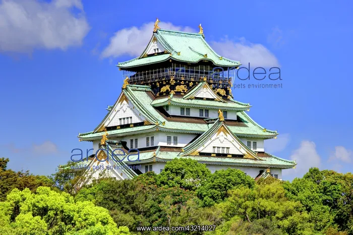 : Japan, Osaka, Nara Prefecture. View of the : Japan, Osaka, Nara Prefecture. View of the