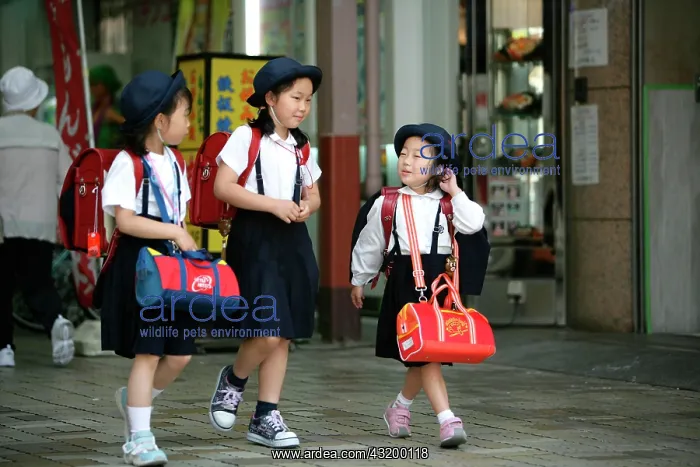 : Japan, Tokyo: Schoolgirls on their way home. Asia : Japan, Tokyo: Schoolgirls on their way home. Asia