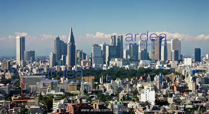 : Japan. Tokyo. Shinjuku Ditrict Skyline : Japan. Tokyo. Shinjuku Ditrict Skyline