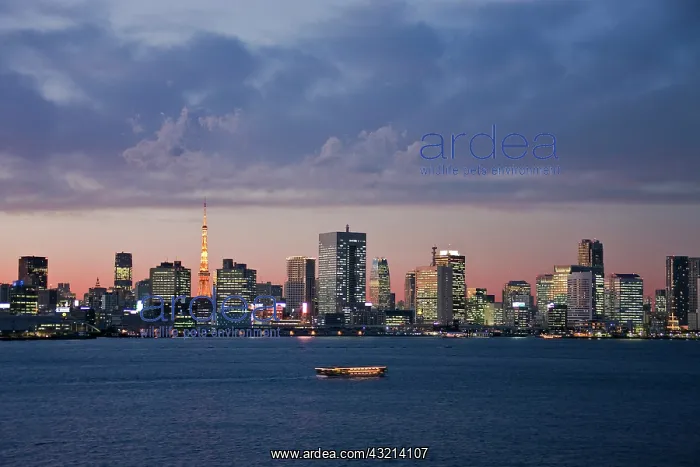 : Japan. Tokyo. Tokyo Bay and Skyline : Japan. Tokyo. Tokyo Bay and Skyline