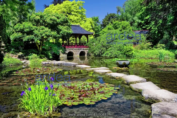 : Japanese Garden of the Bayer AG, Leverkusen, North : Japanese Garden of the Bayer AG, Leverkusen, North