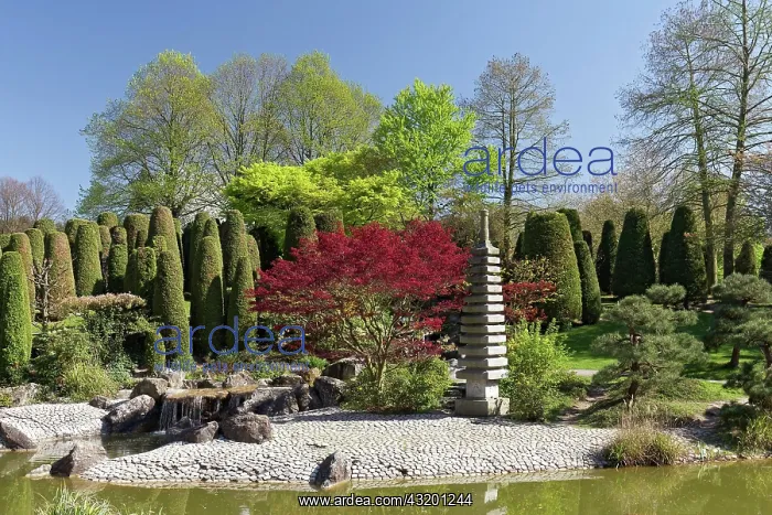 : Japanese garden with small pagoda, leisure park : Japanese garden with small pagoda, leisure park