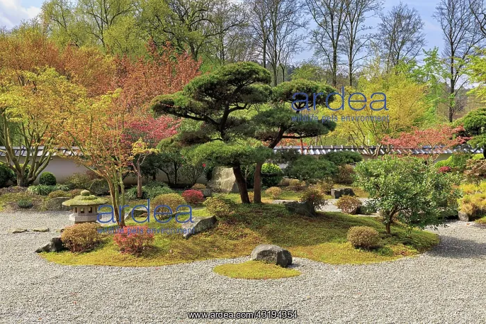 : Japanese garden in spring, Kare-San-Sui, zen garden : Japanese garden in spring, Kare-San-Sui, zen garden