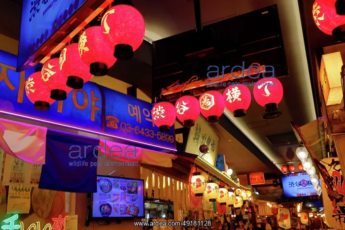  : Japanese lanterns inside an Izakaya restaurant in Shibuya, Tokyo, Japan