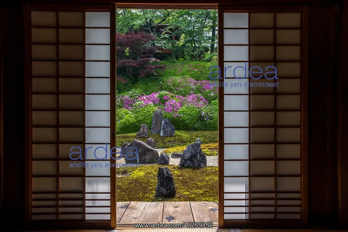 : Japanese rock garden in Komyoin temple, Kyoto, Japan : Japanese rock garden in Komyoin temple, Kyoto, Japan