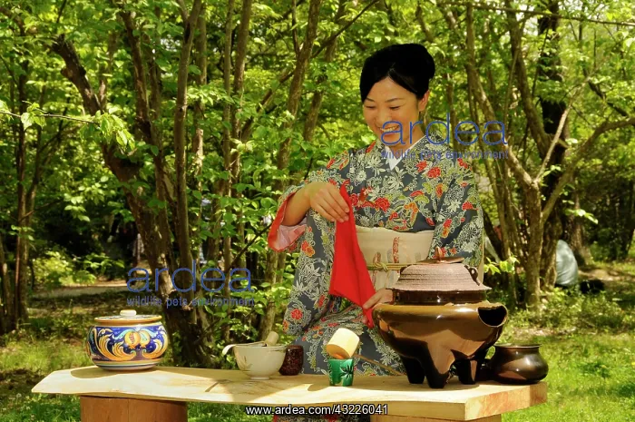 : Japanese woman performing a tea ceremony in the : Japanese woman performing a tea ceremony in the