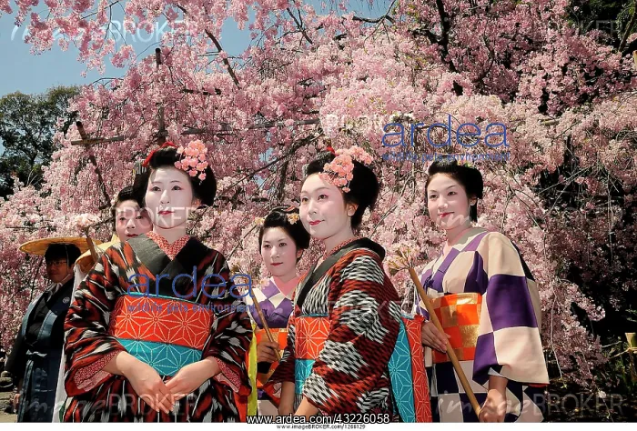 : Japanese women in kimonos, procession participants : Japanese women in kimonos, procession participants