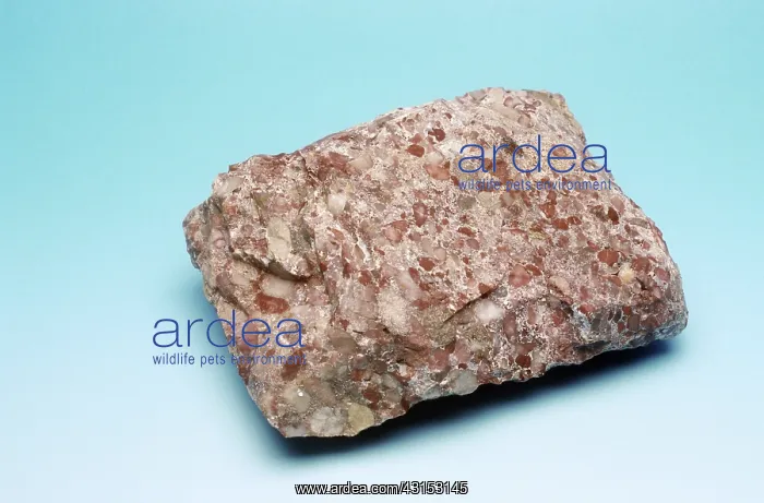 : Jasper Conglomerate : Jasper Conglomerate