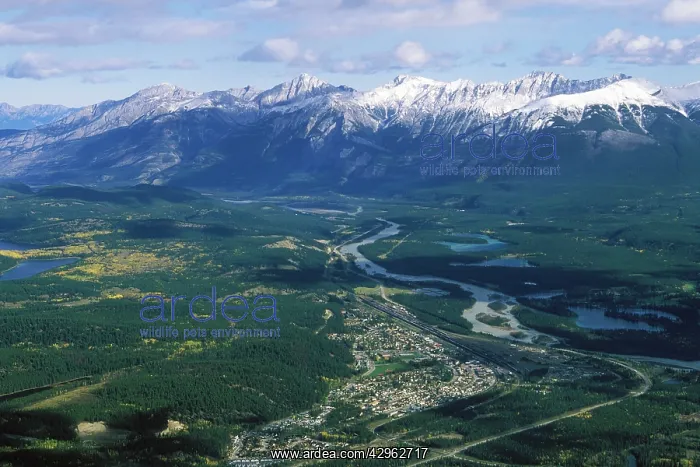 : Jasper townsite seen from the top of Jasper Tramway : Jasper townsite seen from the top of Jasper Tramway