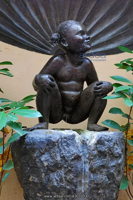 : Jeanekke Pis statue and fountain, Brussels, Belgium : Jeanekke Pis statue and fountain, Brussels, Belgium