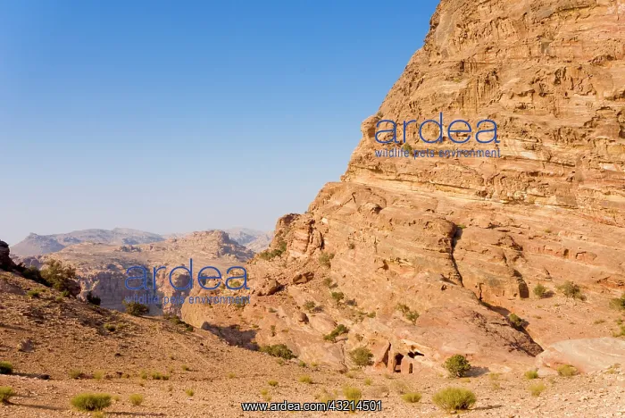 : Jebel al Deir Valley, view from the hill : Jebel al Deir Valley, view from the hill