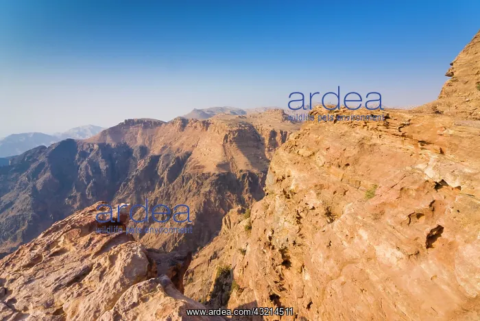 : Jebel al Deir Valley, view from the hill : Jebel al Deir Valley, view from the hill