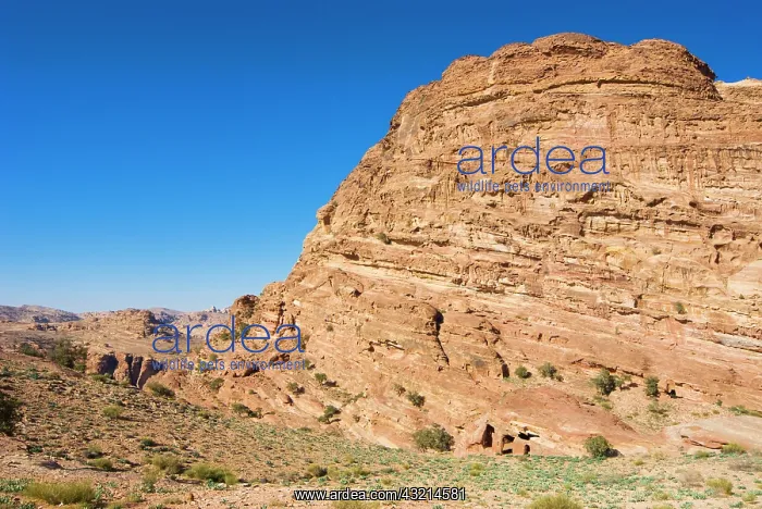 : Jebel al Deir Valley, view from the hill : Jebel al Deir Valley, view from the hill