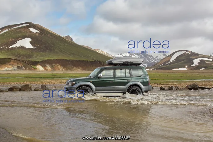 : Jeep crossing a river in the high mountains of Landmannalaug : Jeep crossing a river in the high mountains of Landmannalaug