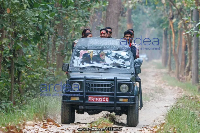 : Jeep's safari : Jeep's safari