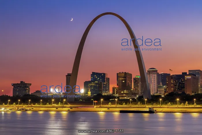 : Jefferson National Expansion Memorial, The Gateway Arch at : Jefferson National Expansion Memorial, The Gateway Arch at