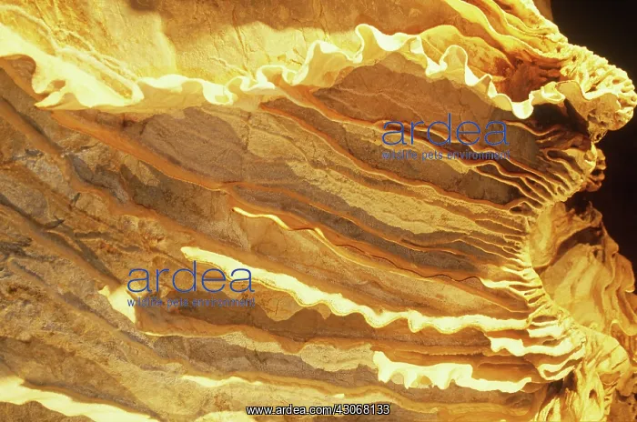 : Jenolan Caves : Jenolan Caves