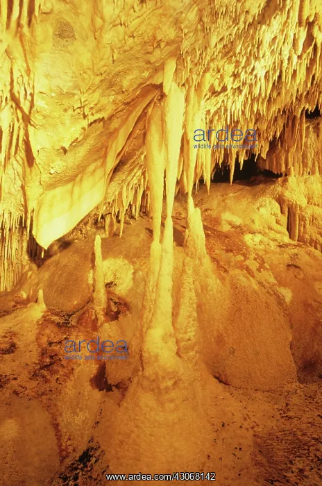 : Jenolan Caves : Jenolan Caves