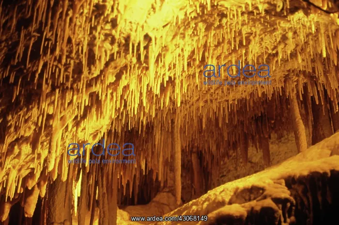 : Jenolan Caves : Jenolan Caves