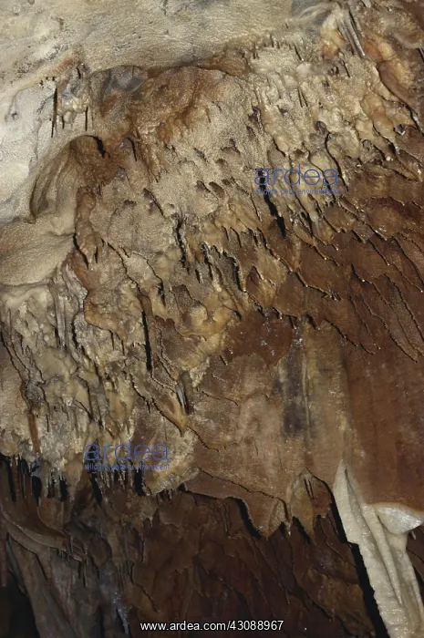  : Jenolan Caves