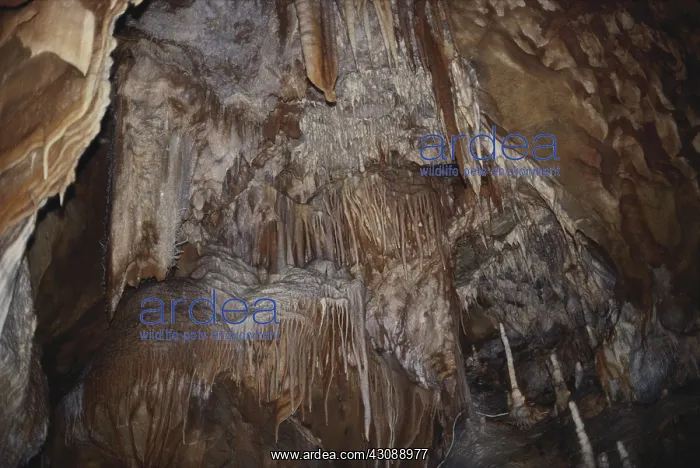 : Jenolan Caves : Jenolan Caves