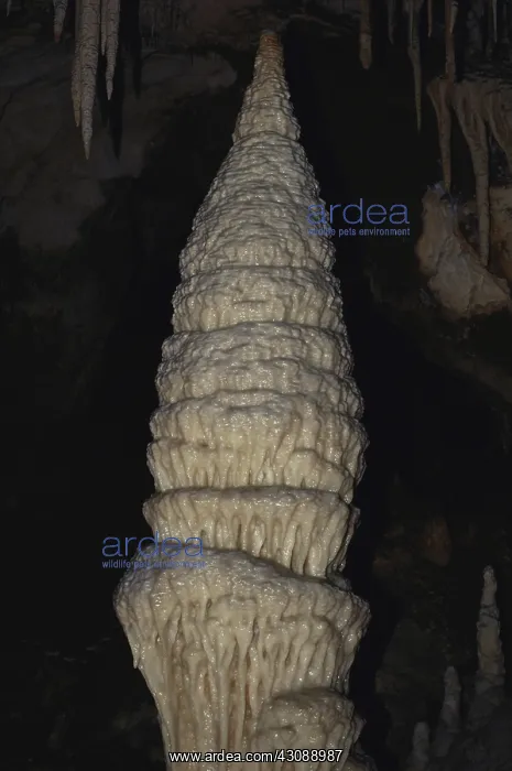 : Jenolan Caves : Jenolan Caves