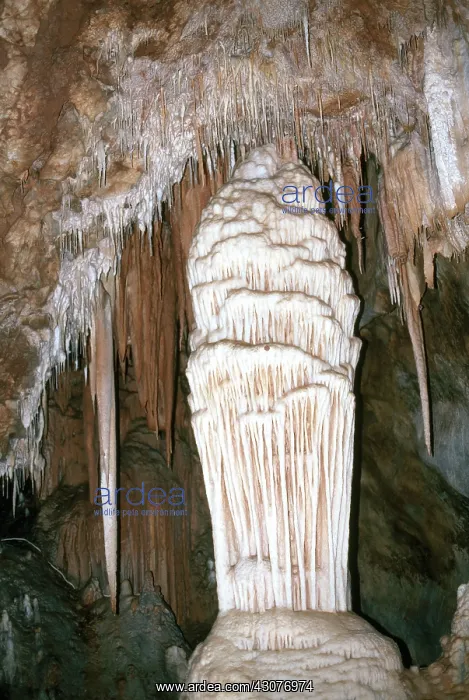 : Jenolan Caves, Australia : Jenolan Caves, Australia