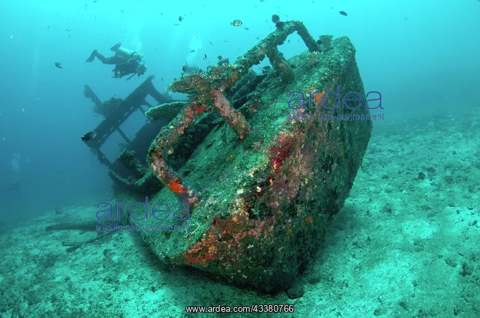 : Jepun Wreck : Jepun Wreck