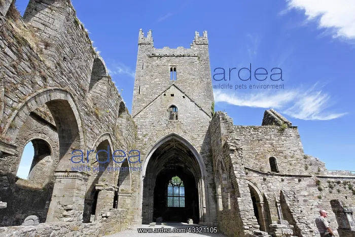 : Jerpoint Abbey, Thomastown, Kilkenny, Ireland, Europe : Jerpoint Abbey, Thomastown, Kilkenny, Ireland, Europe