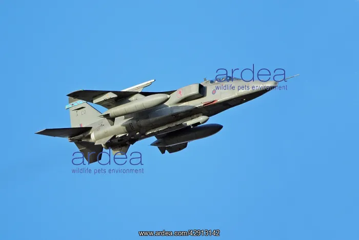 : Jet Fighter - flying over Donna Nook RAF bombing : Jet Fighter - flying over Donna Nook RAF bombing