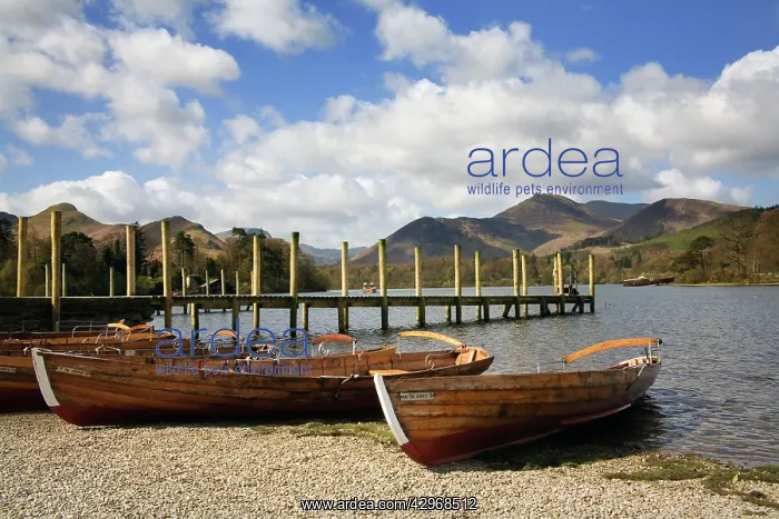 : Jetty and boats at Derwent Water - January : Jetty and boats at Derwent Water - January