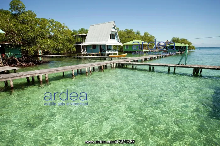 : Jetty in the clear water and a typical wooden house : Jetty in the clear water and a typical wooden house