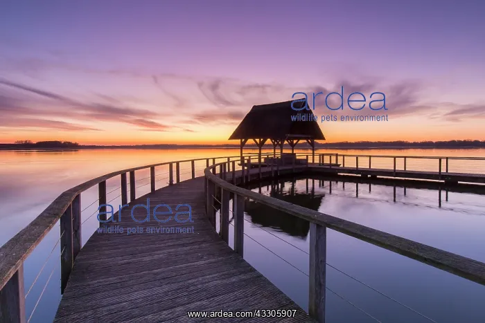 : Jetty on Lake Hemmelsdorf at sunrise - Schleswig-Holstein : Jetty on Lake Hemmelsdorf at sunrise - Schleswig-Holstein