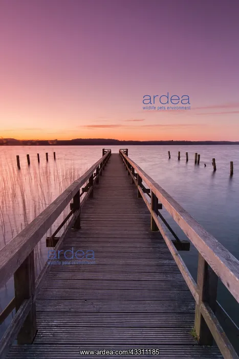: Jetty at lake Ratzeburg at sunset - Germany : Jetty at lake Ratzeburg at sunset - Germany